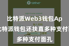 比特派Web3钱包App  比特派钱包还扶直多种支付面孔