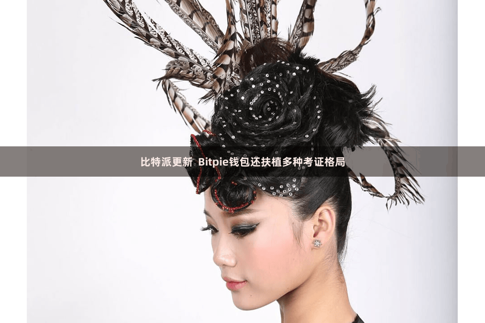 比特派更新  Bitpie钱包还扶植多种考证格局