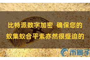 比特派数字加密  确保您的蚁集蚁合平素亦然很蹙迫的